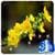 3D Apricot Blossom Live Wallpaper