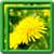 Dandelion Live Wallpapers Best