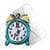 1Timer SMS