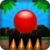 Balance Ball Classic