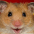 Rationalization Hamster