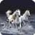 Horses Memory Game