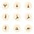 Yoga Home Excercises For Fitness