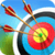 Archery Shooting King