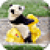 Panda Wallpaper