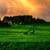 Green Field Live Wallpaper