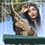 Wildlife Frames For Photos
