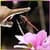 Dragonfly On Your Phone LWP free