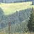 Nature Live Wallpaper 124