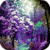 Colorful Forest Live Wallpaper
