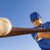World league baseball
