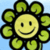 Go  Flower  Grow