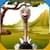 Talking Ostrich