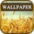 Nature Wallpaper-1