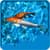 Koi Fish Live Wallpapers New