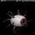 Eye Ball Live Wallpaper