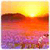 HD Sun Rise Live Wallpaper