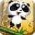 Panda Flying