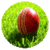 Cricket Commentators