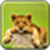 Cute Animal Image 