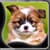Sweet Puppies Live Wallpapers