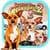 Chihuahua Puzzle