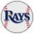 Tampa Bay Rays Fan