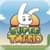 Super Twario