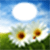 Nature photo frame app