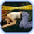 Criminal Case : Murder Mystery