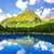 Spring Mountain Landscape Live Wallpaper