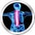 Back Pain Treatment