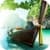Nature Live Wallpaper 3D Parallax