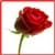 New Rose Flowers Onet Classic Game
