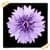 Chicory Flowers Onet Classic Game