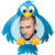 Justin Timberlake - Tweets