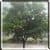 Rainy Window Live Wallpaper HD