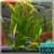 Aquarium Video HD Live Wallpaper