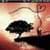Love in Nature Animated