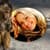 Funny Monkey Photo Frames