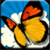 Chinese Butterflies