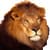 Wild Animals