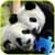 Panda Jigsaw Puzzle