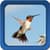Hummingbirds Live Wallpapers