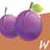 Guess The Pictues Guess The Word Game