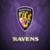 Baltimore Ravens Fan