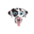 Tamagotchi Dog