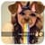 Insta Square Picture 2019