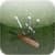 Swing Cricket