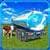 Transport Truck Milk Delivery